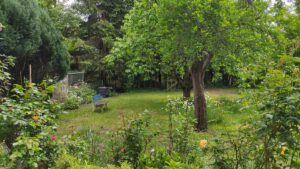 Blick in den Garten der Feienwohnung am Rosengarten - mit Bäumen und Rosen